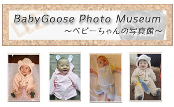 BabyGoose写真館